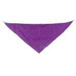 pañoleta triangular 5