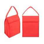 bolsa nevera 4