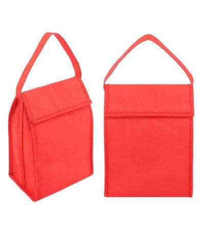 bolsa nevera 4